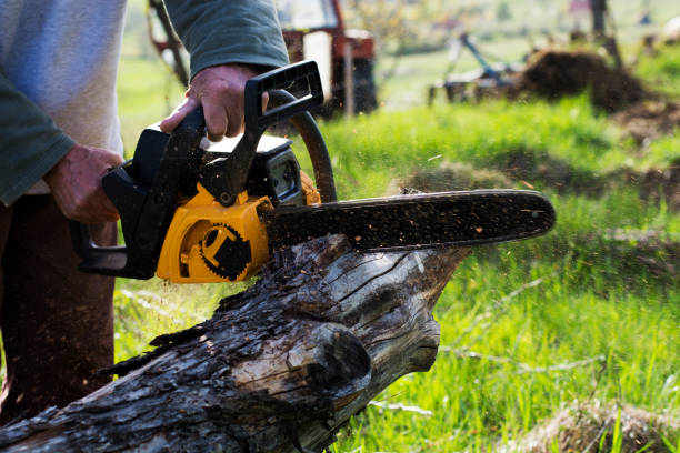  Spring City, TN Tree Care Pros